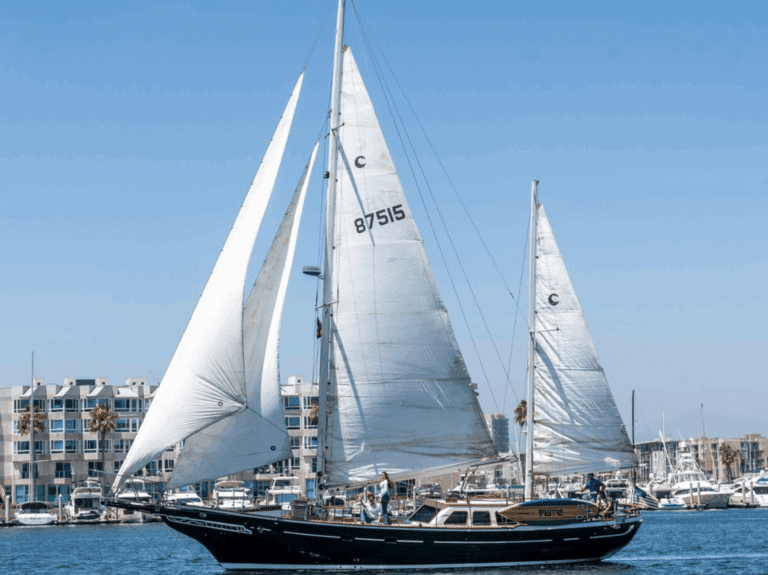 Screenshot 2025-10-13 at 6.58.57 PM