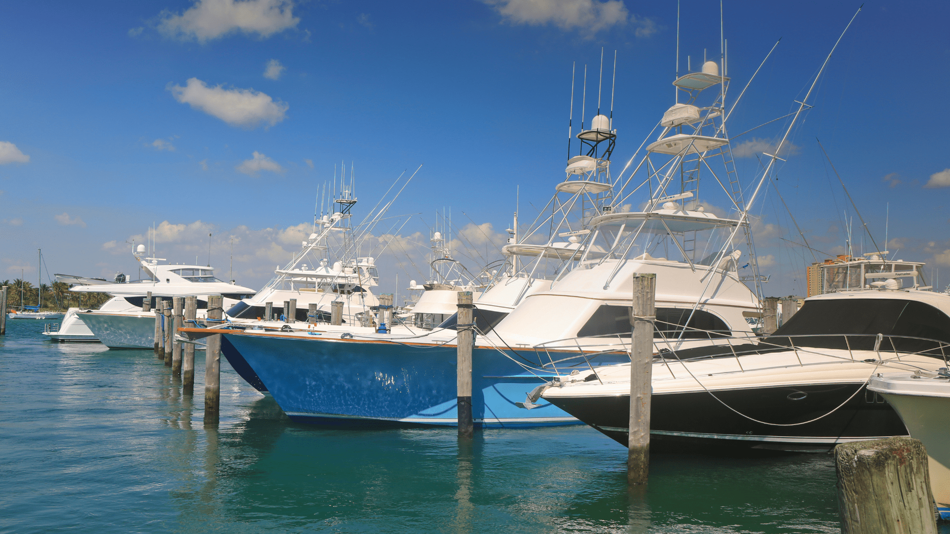 Boat Charters at Marina del Rey with Charters 2000